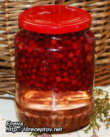 Моченая брусника Моченая брусника